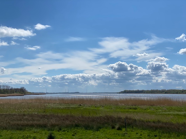 Blick auf die Elbe